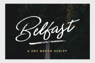 Belfast Font: A Designer’s Love Letter to Authentic Typography