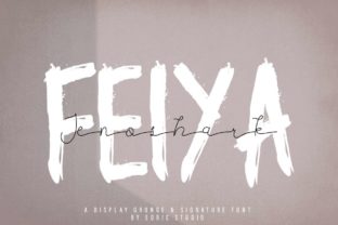 Jenoshark Feiya Font: A Playful Script for Memorable Branding
