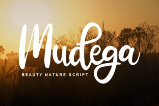Mudega Font: A Playful Script for Professional Branding