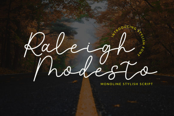 Raleigh Modesto Font: A Display Typeface That Elevates Digital Design