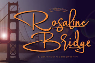 Rosaline Bridge: A Typeface That Elevates Your Campaign