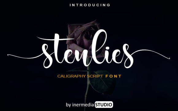 Stenlies: A Handwritten Font That Brings Personality to Branding