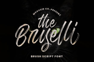 The Bryelli Font: A Handwritten Touch for Your Brand
