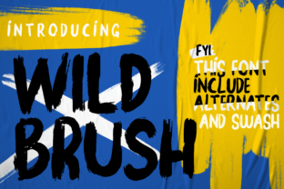 Wild Brush: A Designer’s Take on a Versatile Script Font